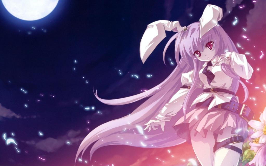 动漫美少女锦集