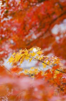 唯美风景图片大全-1