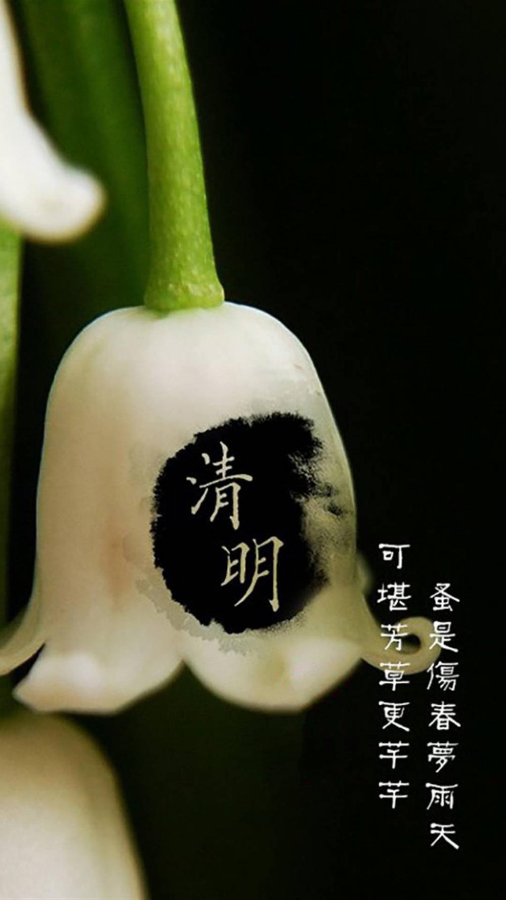 清明佳节