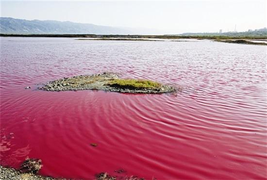 大西洋边一抹温柔的粉红