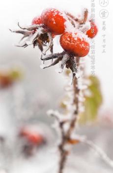 唯美古风二十四节气之小雪-6