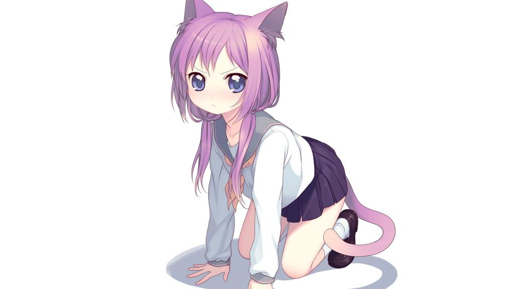 呆萌的猫少女动漫