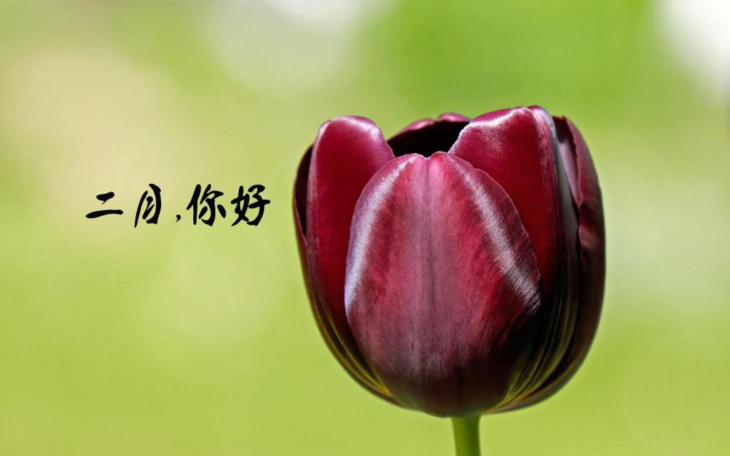 时光匆匆,二月再见