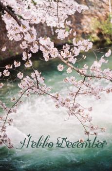 你好十二月小清新创意写真-4