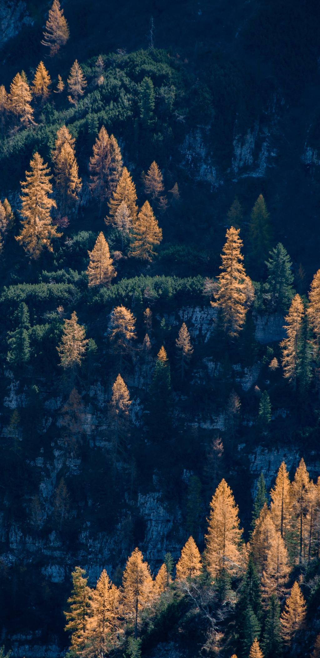 深秋时节的景色