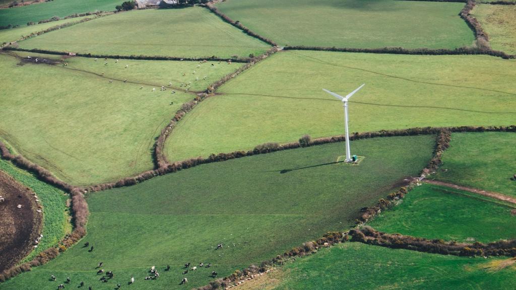 草地上的风力发电机