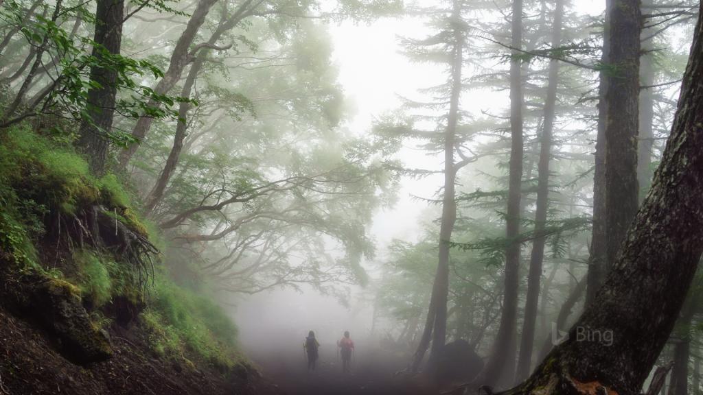 2018年Bing官方主题