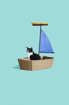 创意猫咪搞笑-5