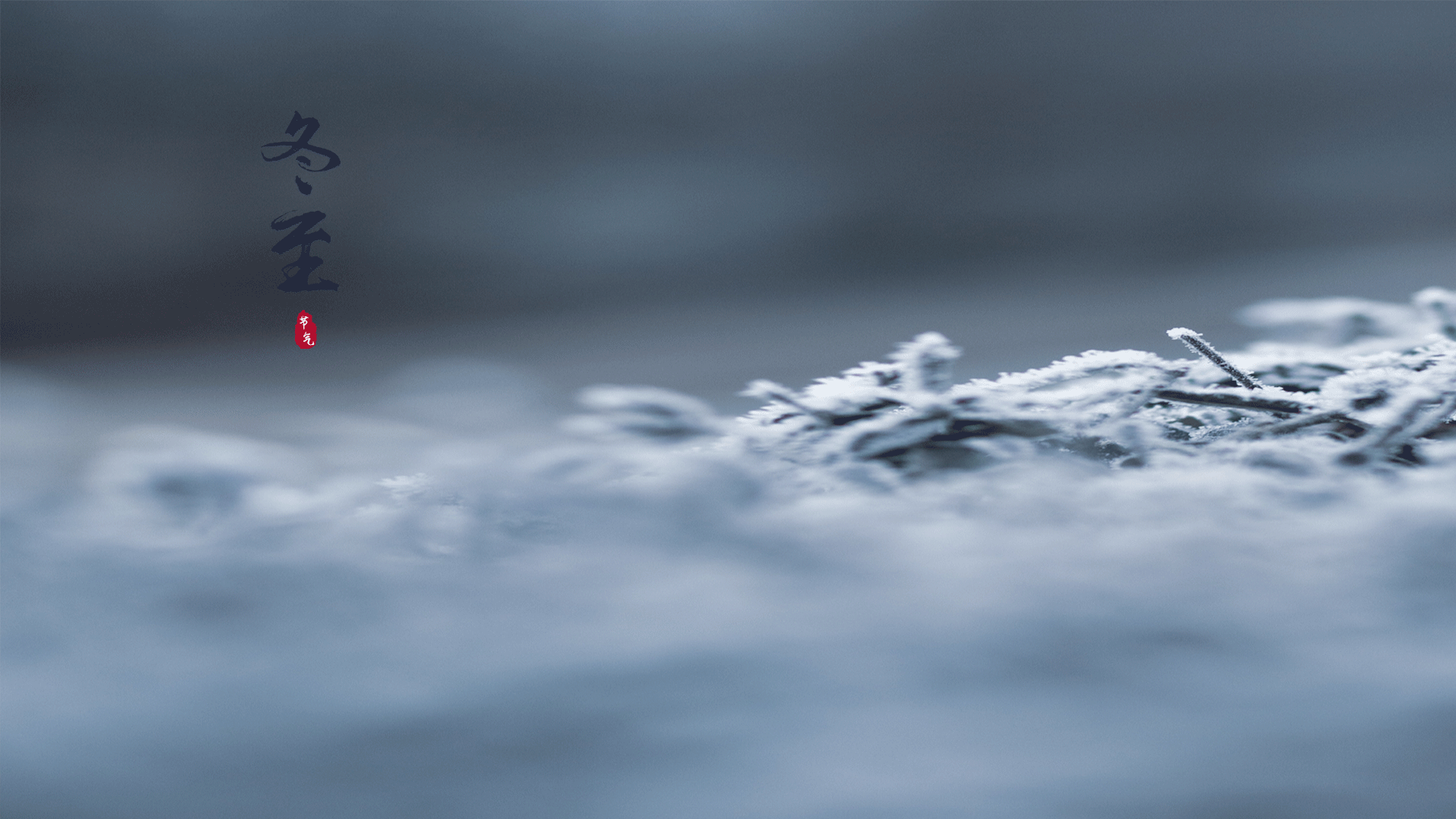 最美的冬至时节