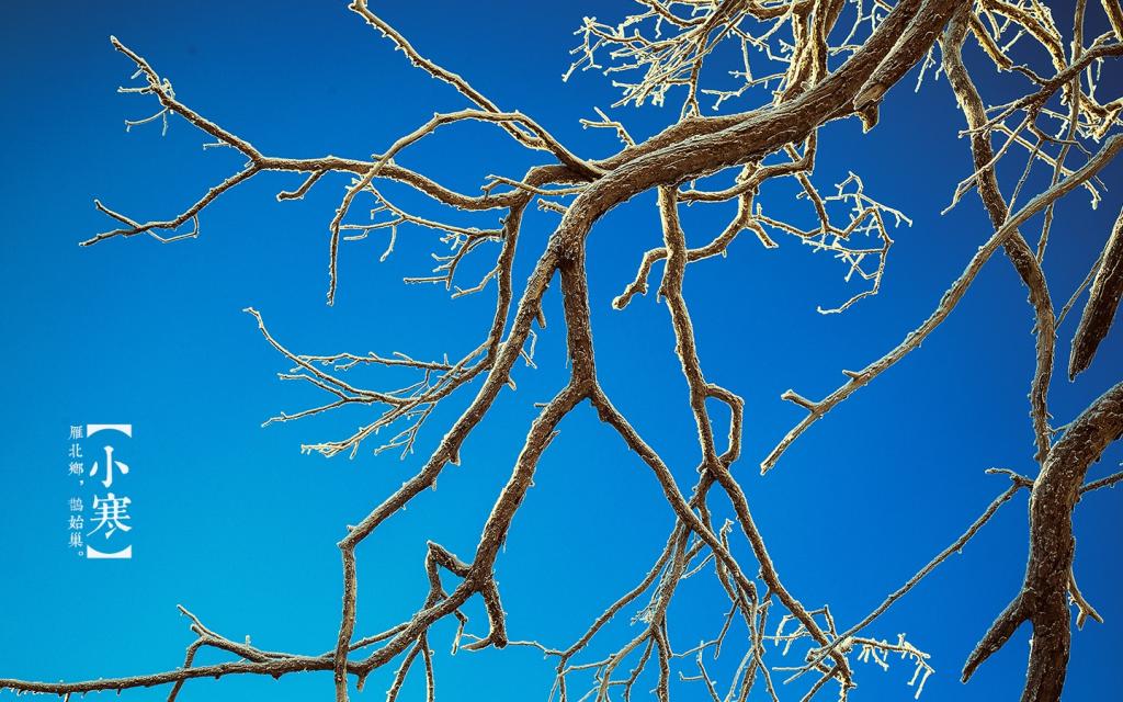 美丽冻人的小寒时节