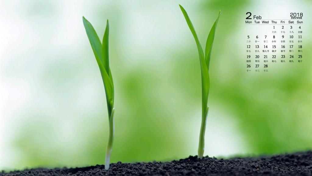 2018年2月绿色小芽清新日历