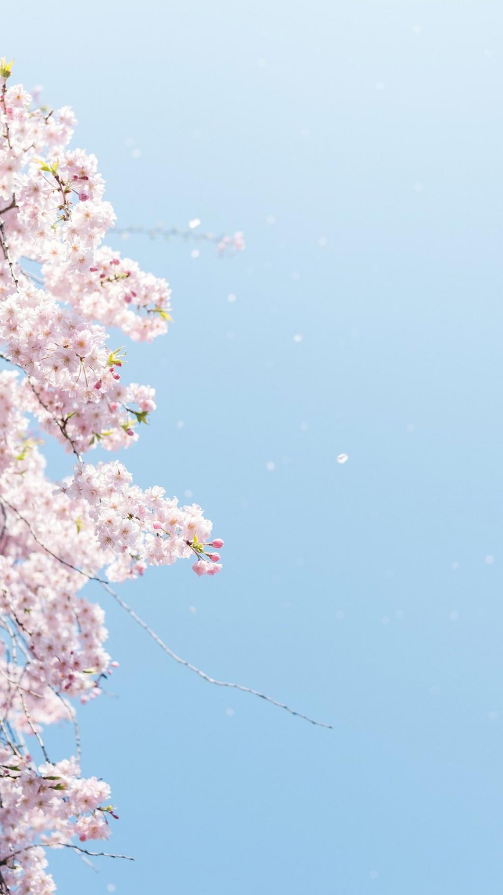 文艺小清新日本风景