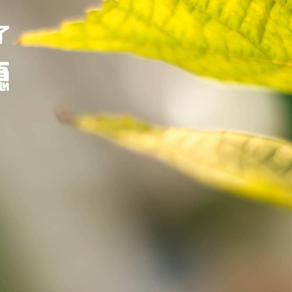 创意伤感爱情文字语录