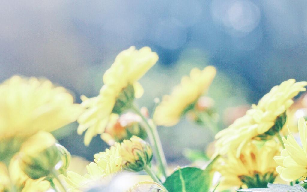 小清新蓝色风景