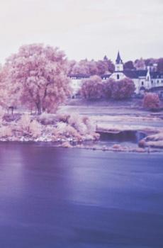 紫色系风景摄影-2