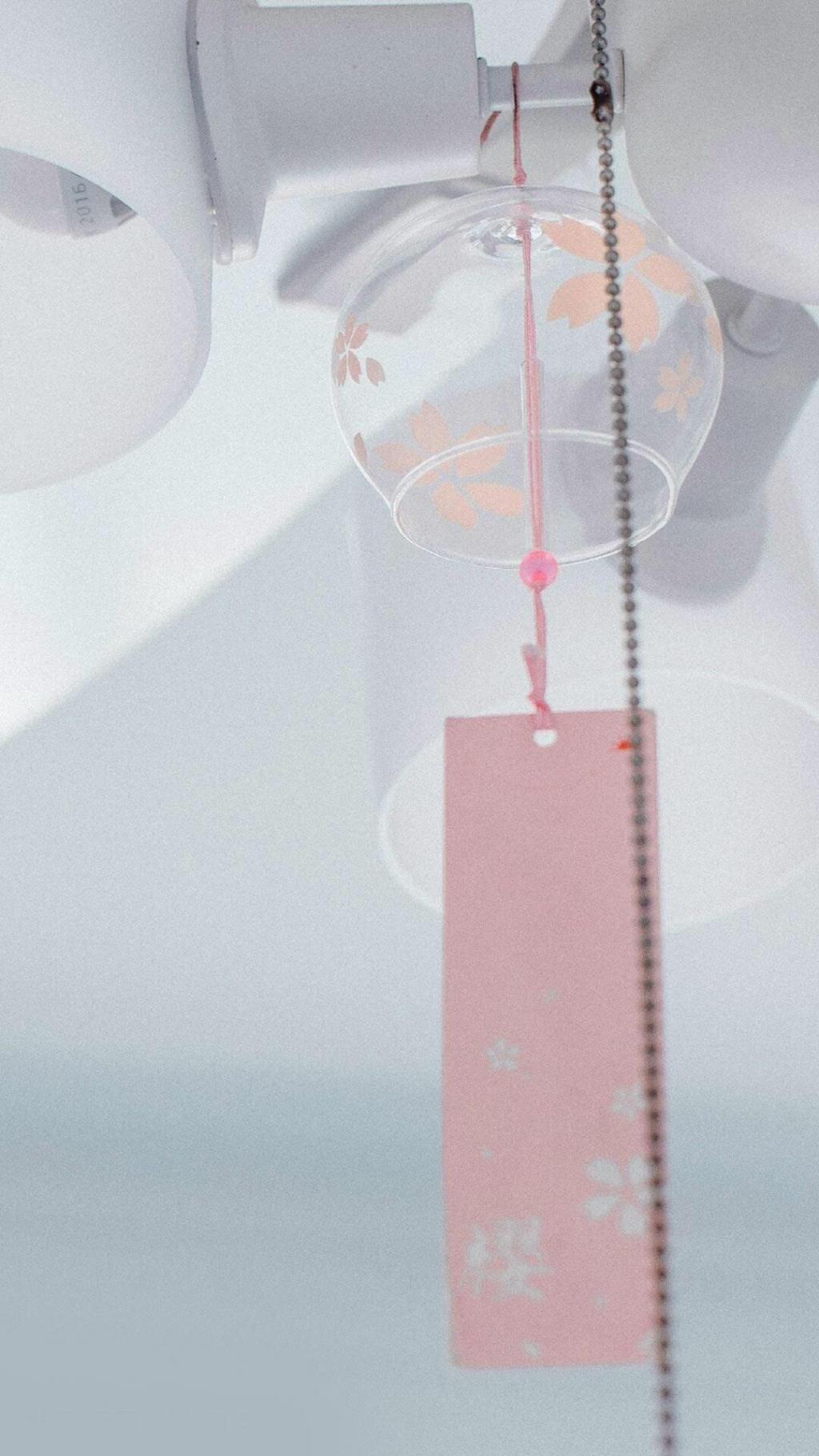 小清新静物摄影