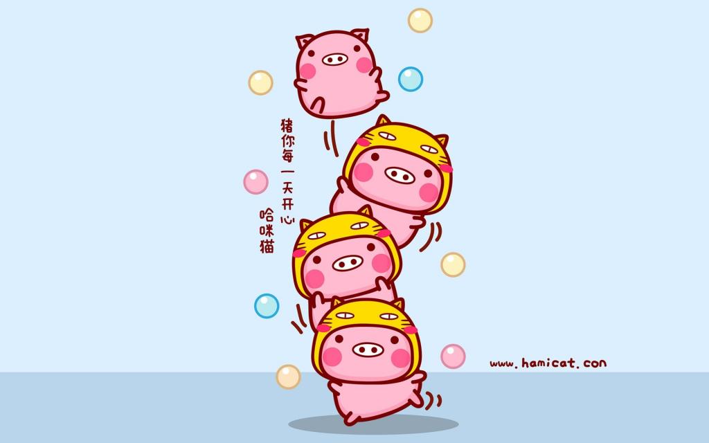 哈咪猫猪你快乐