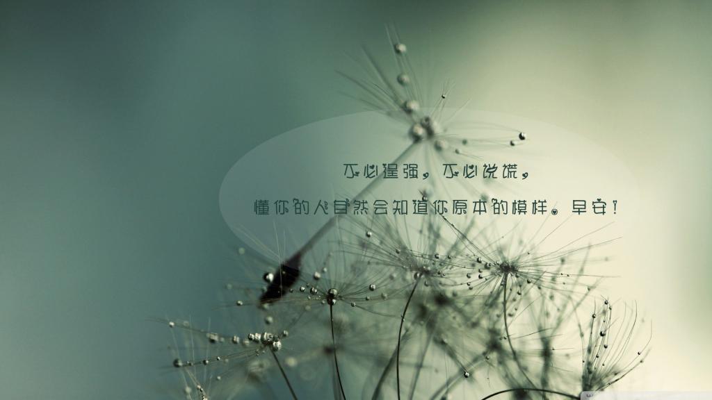 治愈系的早安心语集合