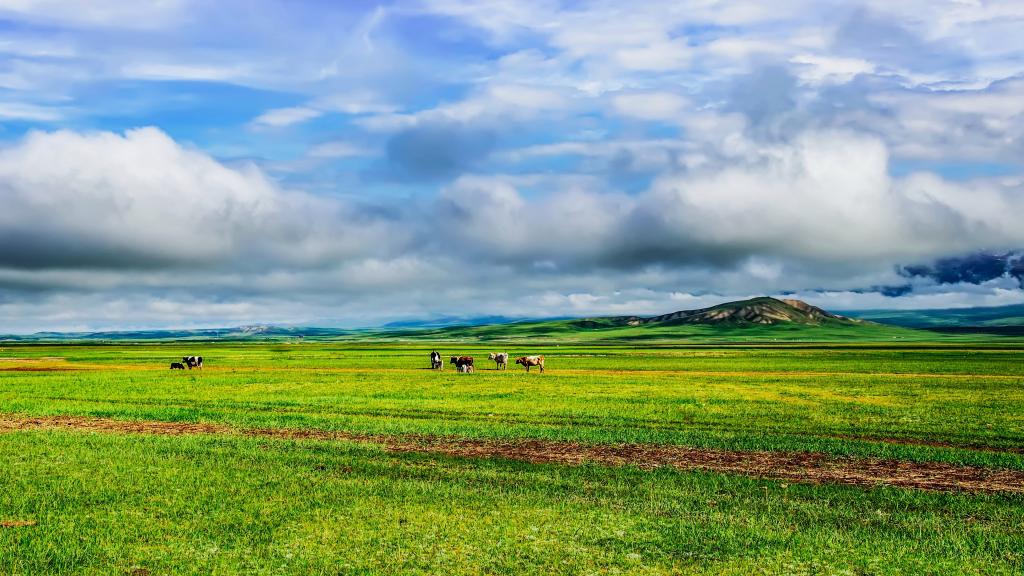 巴音布鲁克草原神秘的美