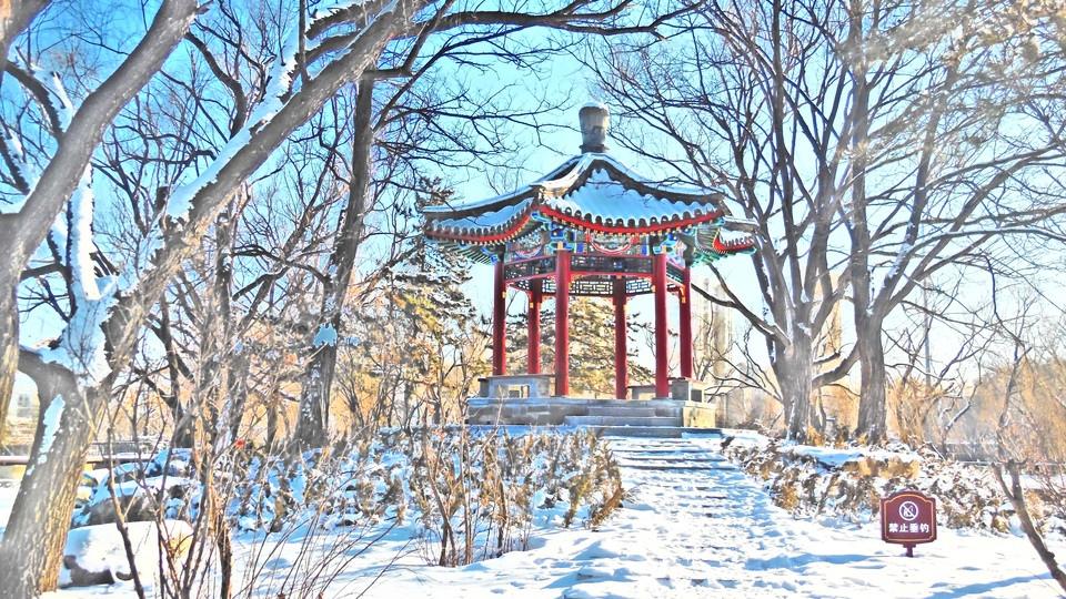 冰天雪地的哈尔滨唯美雪景