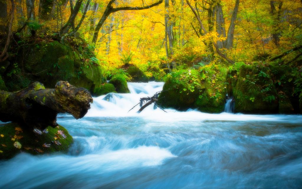 大自然美丽的森林瀑布风光风景