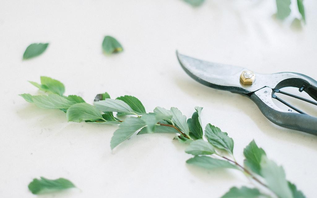 文艺小清新静物写真