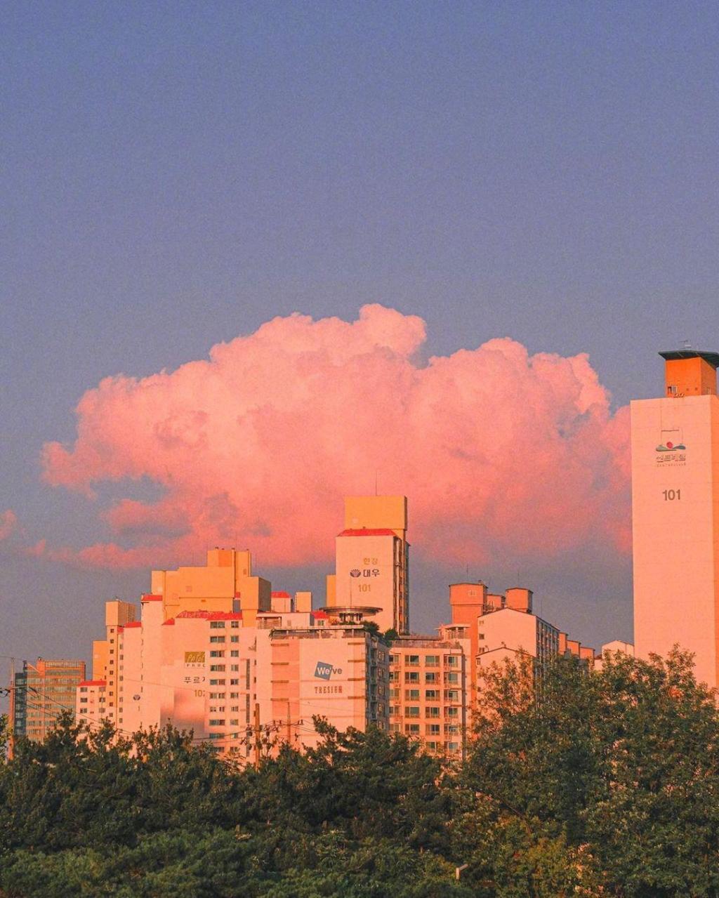 清新唯美迷人黄昏美景