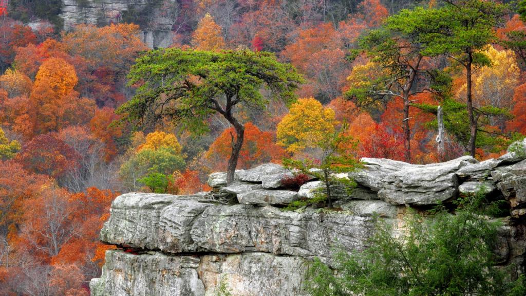 风景图片精选篇