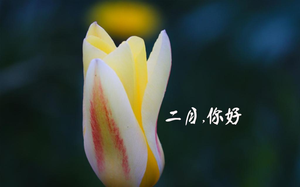 时光匆匆,二月再见