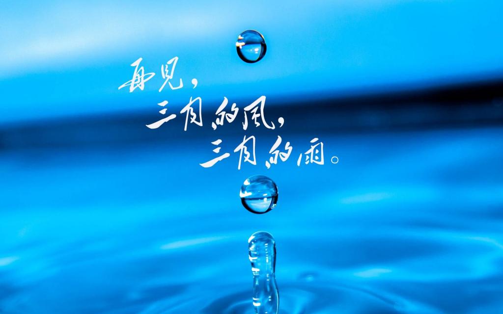 再见,三月的雨