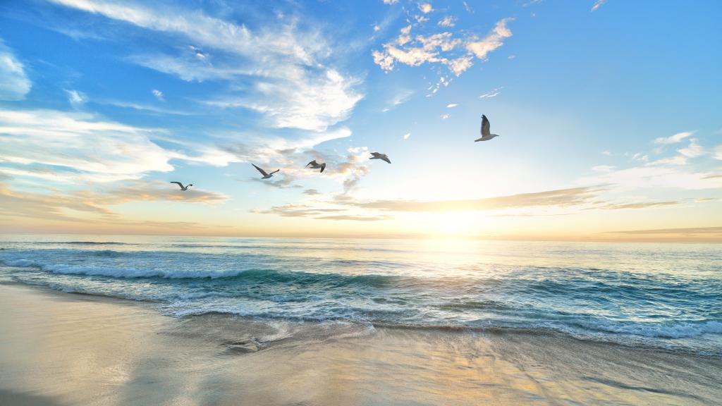 清新唯美自然风光