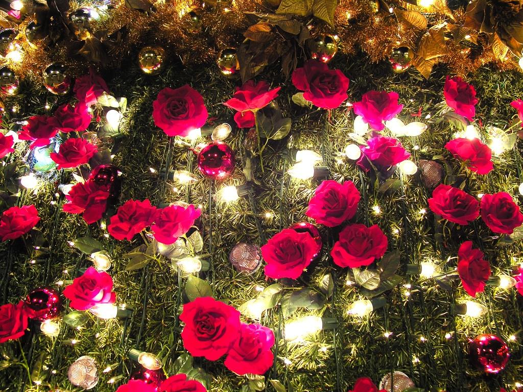 圣诞绚丽多彩夜景