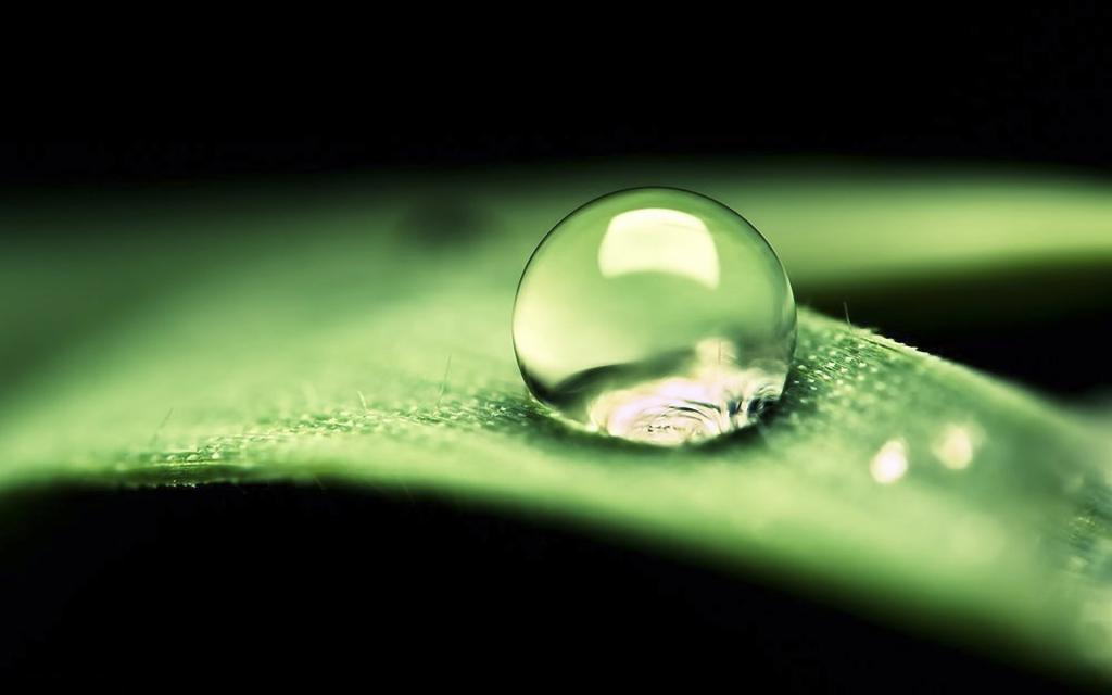 绿叶上的透亮的小水珠