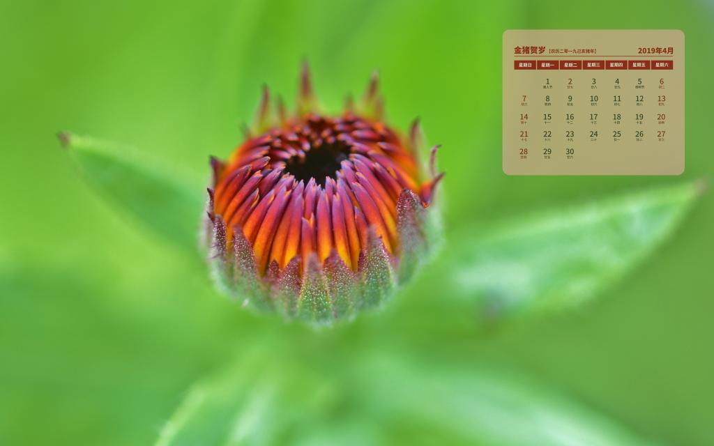 2019年4月人间的四月天日历