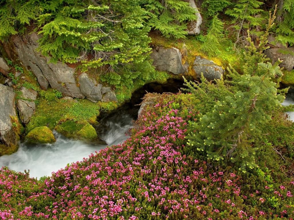 山林间的楼梯瀑布