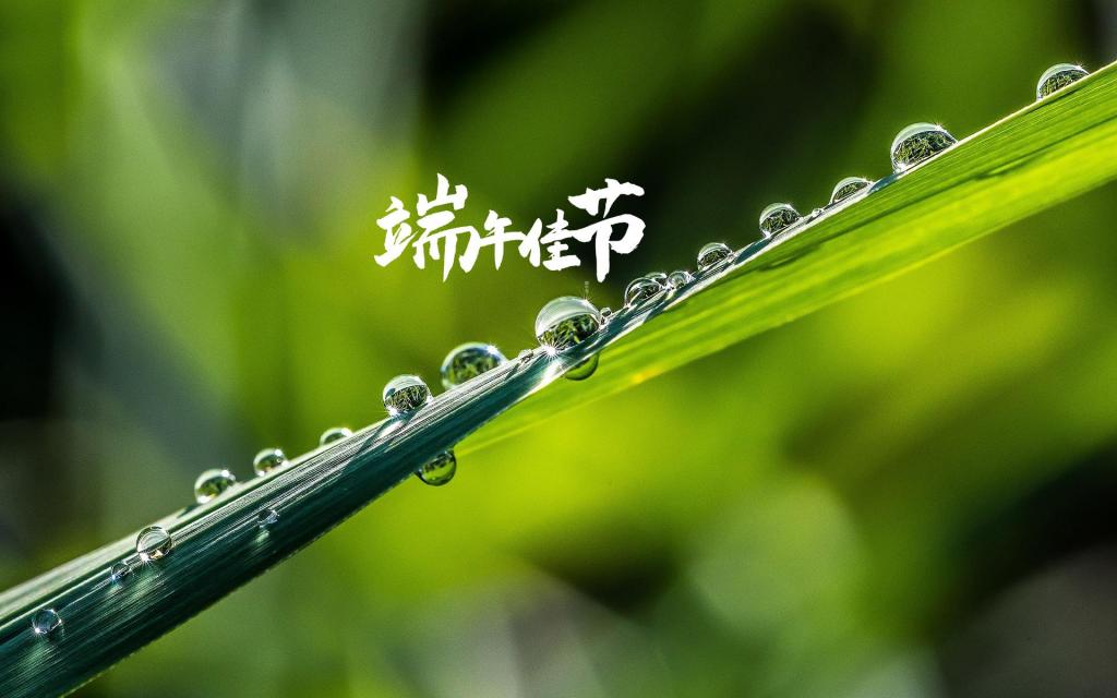 中国传统节日端午节