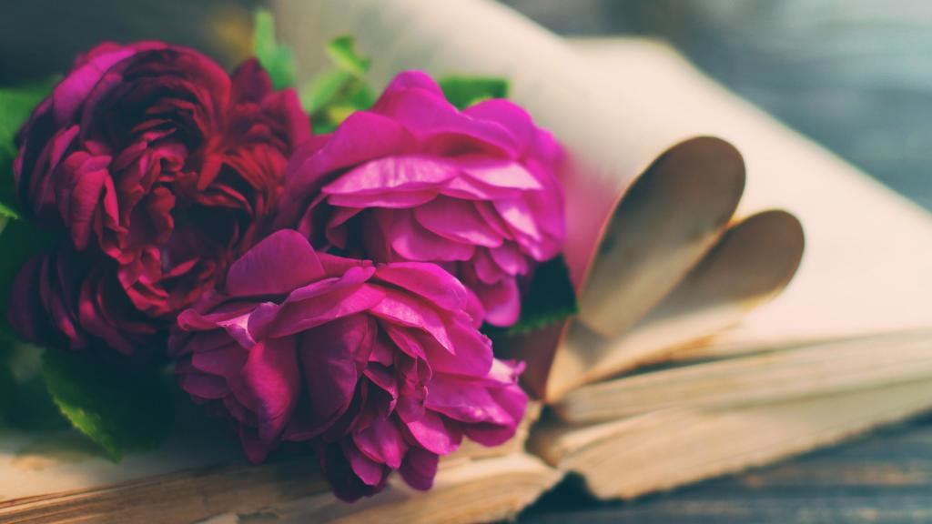 疫情期间读一本好书