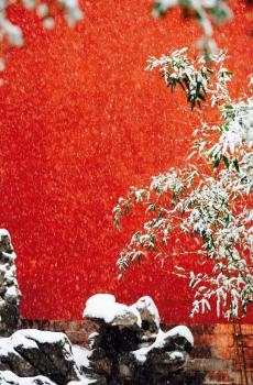 故宫冬天雪景-4