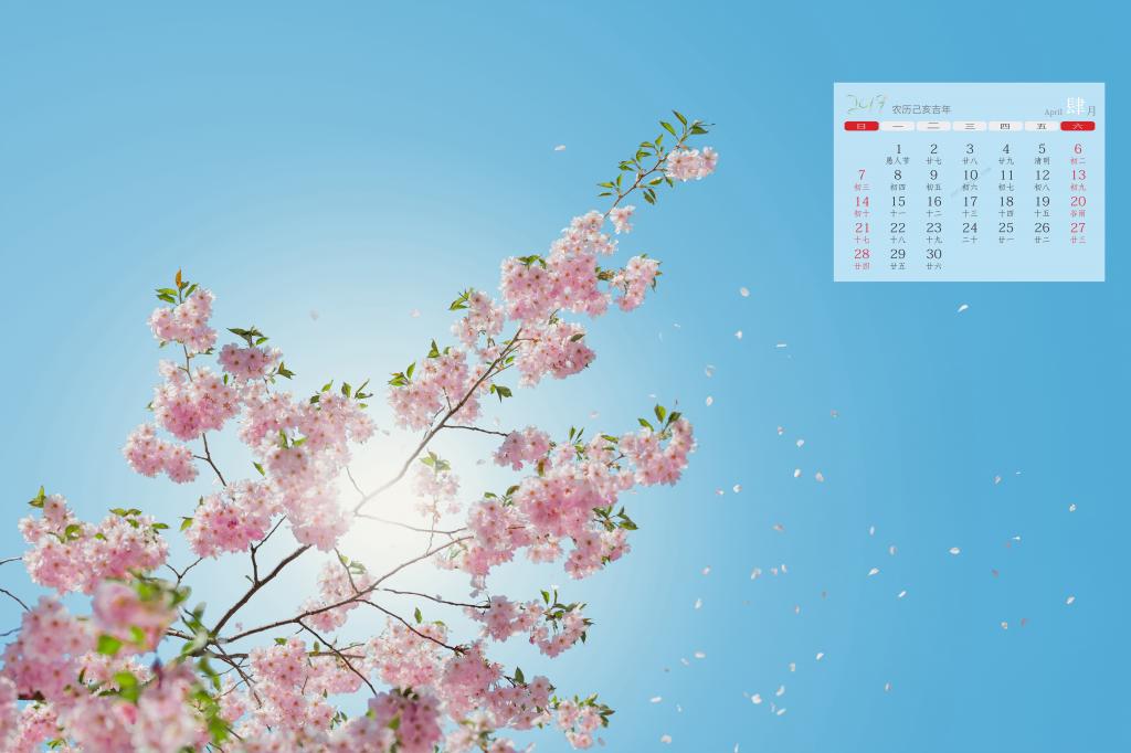 2019年4月唯美淡雅小清新花朵日历