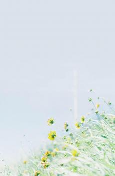 唯美小清新自然风光