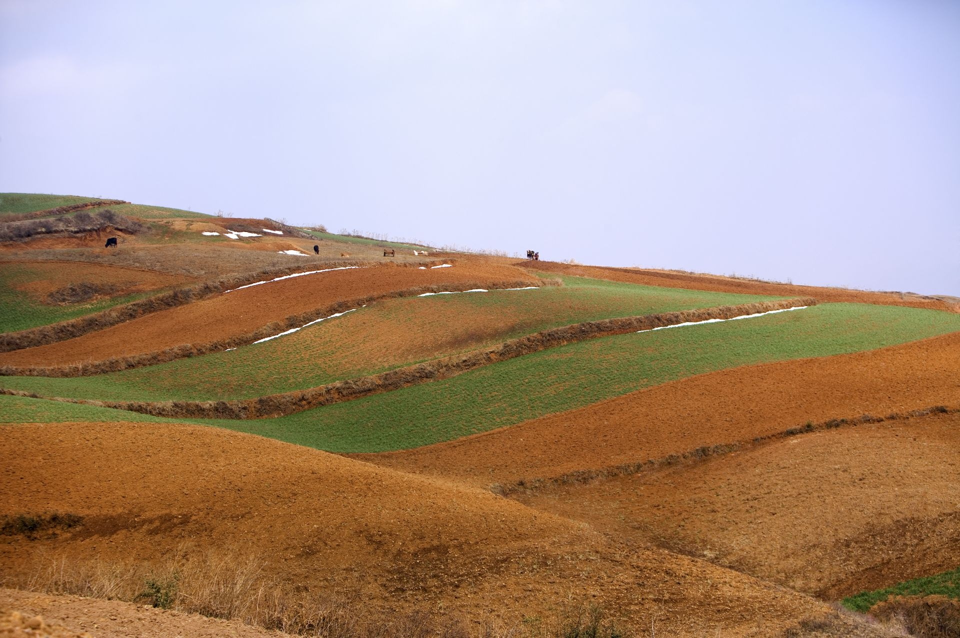 云南大山深处的红土地耕地