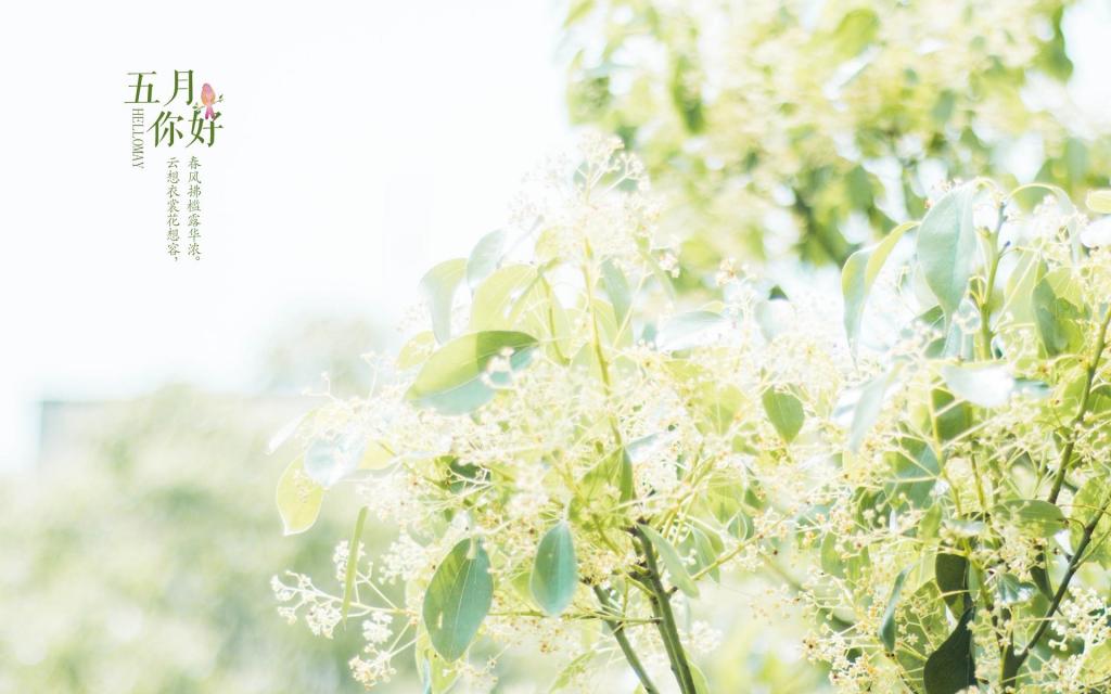 挥别四月,五月你好,高清图片,电脑桌面-壁纸族