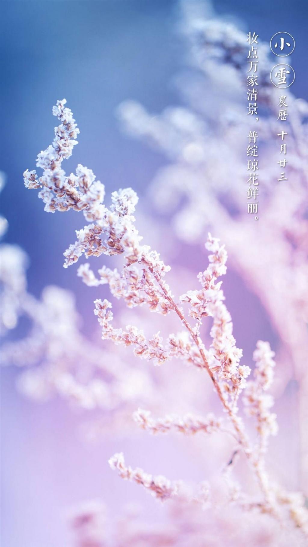 唯美古风二十四节气之小雪