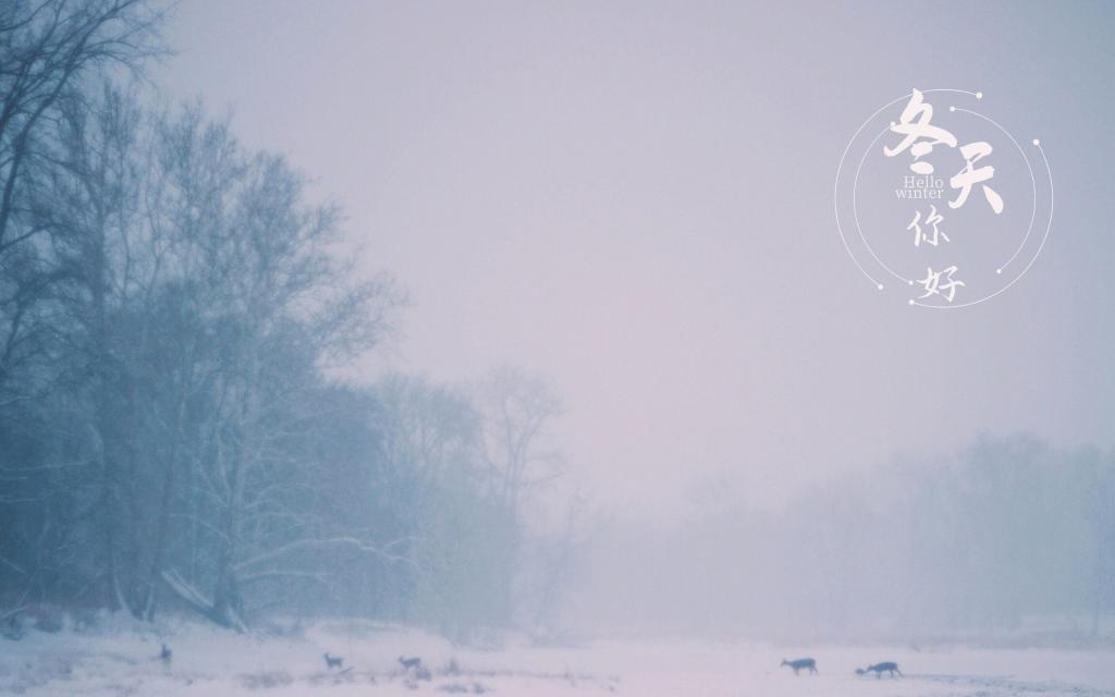 冬天你好优美迷人雪景意境