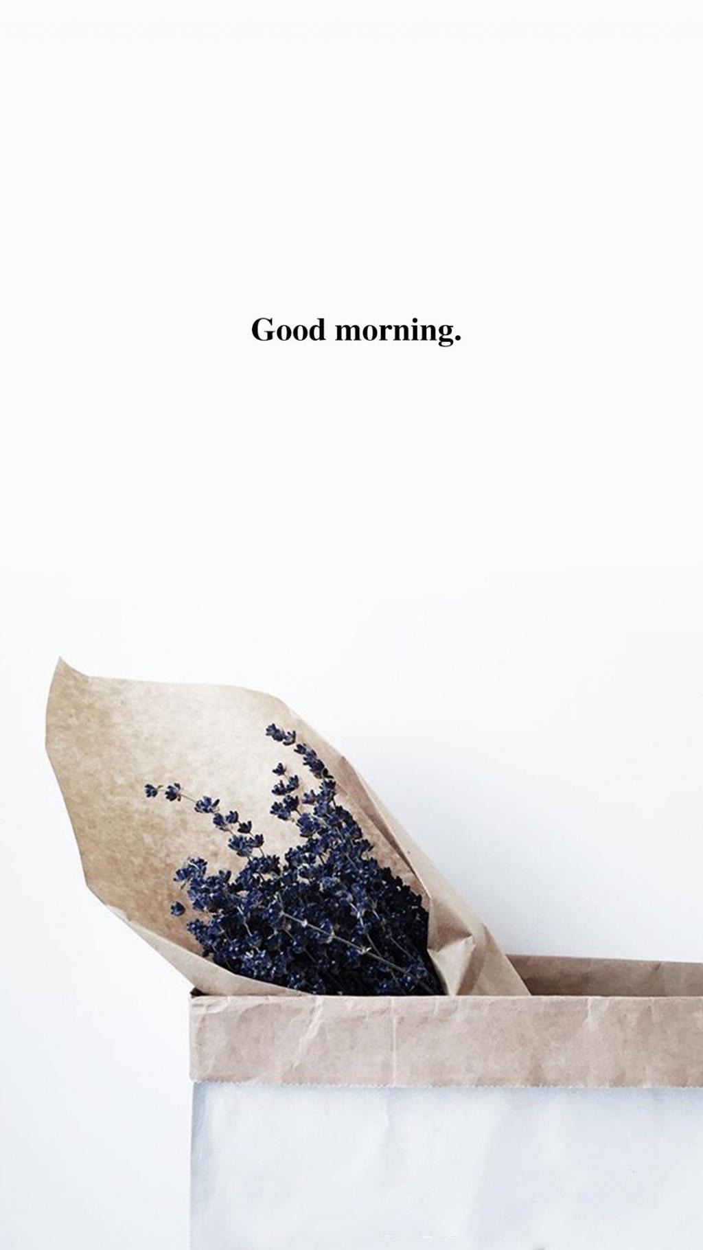 小清新早上好系列