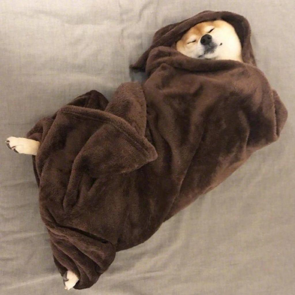 应该规定冬天禁止起床