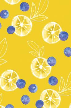 创意平铺水果小清新手机聊天背景-3