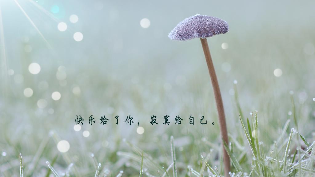 治愈系短句唯美清新图片