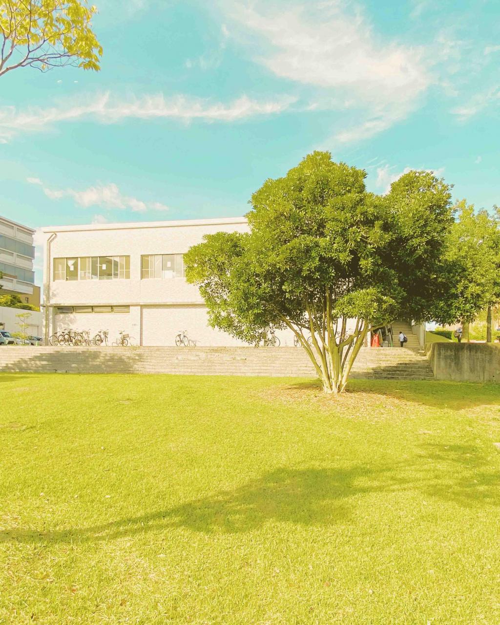 秋日暖阳唯美清新生活随景