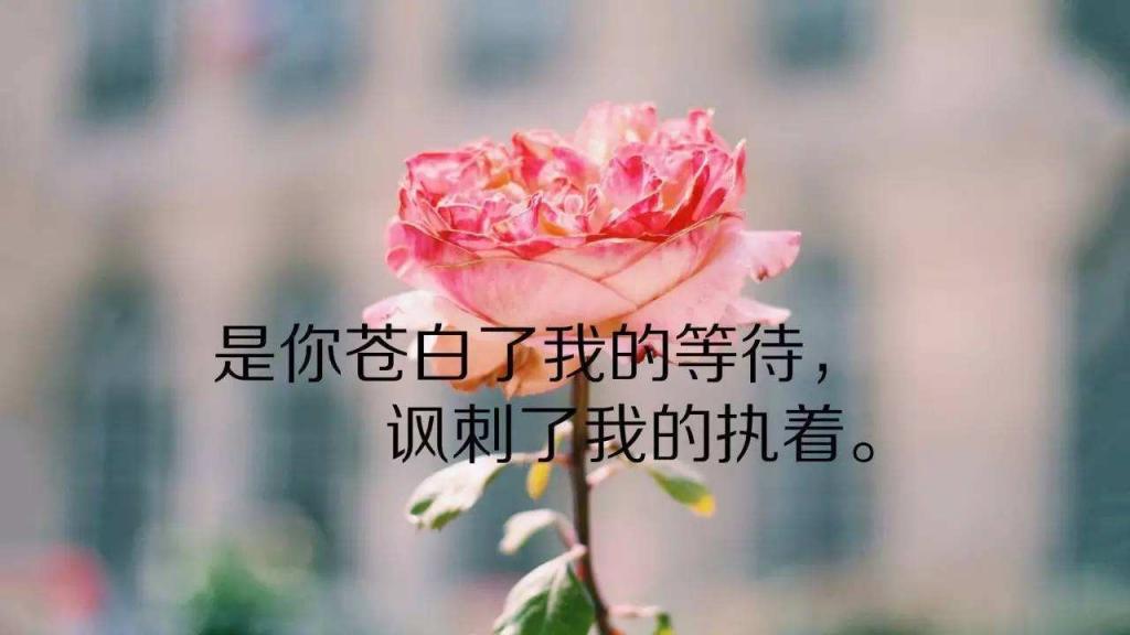 早安心语优美的语句